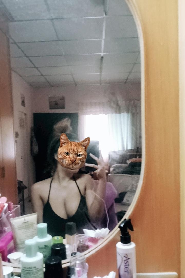 _cxryaaaaa's tweet photo. อยากมีการแจ้งเตือนเข้าบัญชีจัง🧡😼 #สงขลา #หาดใหญ่ #หาคนซัพพอร์ต https://t.co/XJI1tC7GAY
