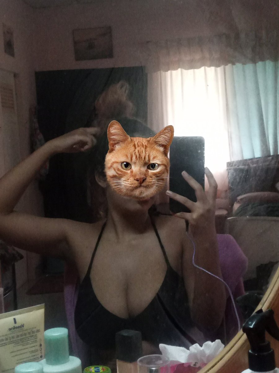 _cxryaaaaa's tweet photo. อยากมีการแจ้งเตือนเข้าบัญชีจัง🧡😼 #สงขลา #หาดใหญ่ #หาคนซัพพอร์ต https://t.co/XJI1tC7GAY