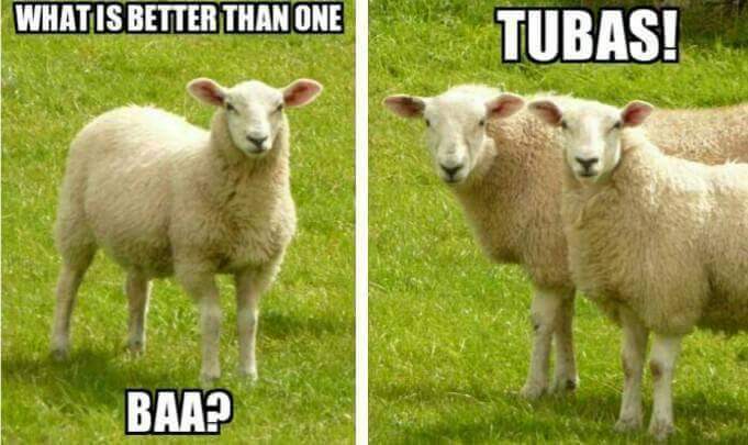 Ok so listen its Friday and we deserve a really baaaaaad dad joke, you are welcome!

Hahahahaha

#sleradio #Fridayfeeling #radiostation #independentmusic