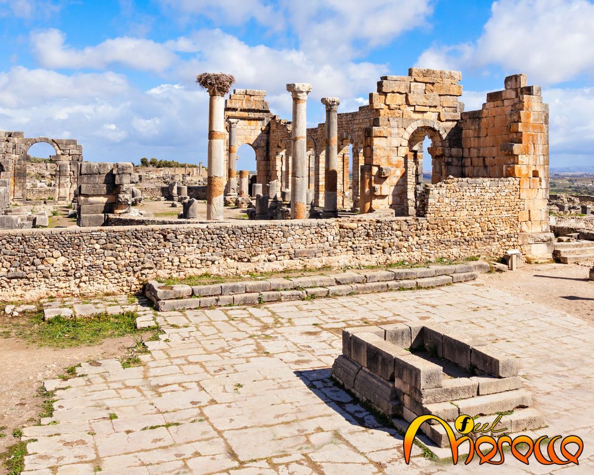 Feel Morocco tweet media