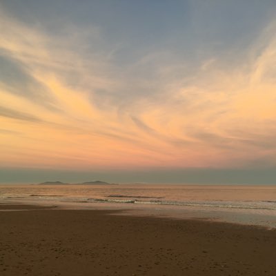 SunSeaMango's tweet photo. #NewProfilePic https://t.co/DKjuYNeEoo