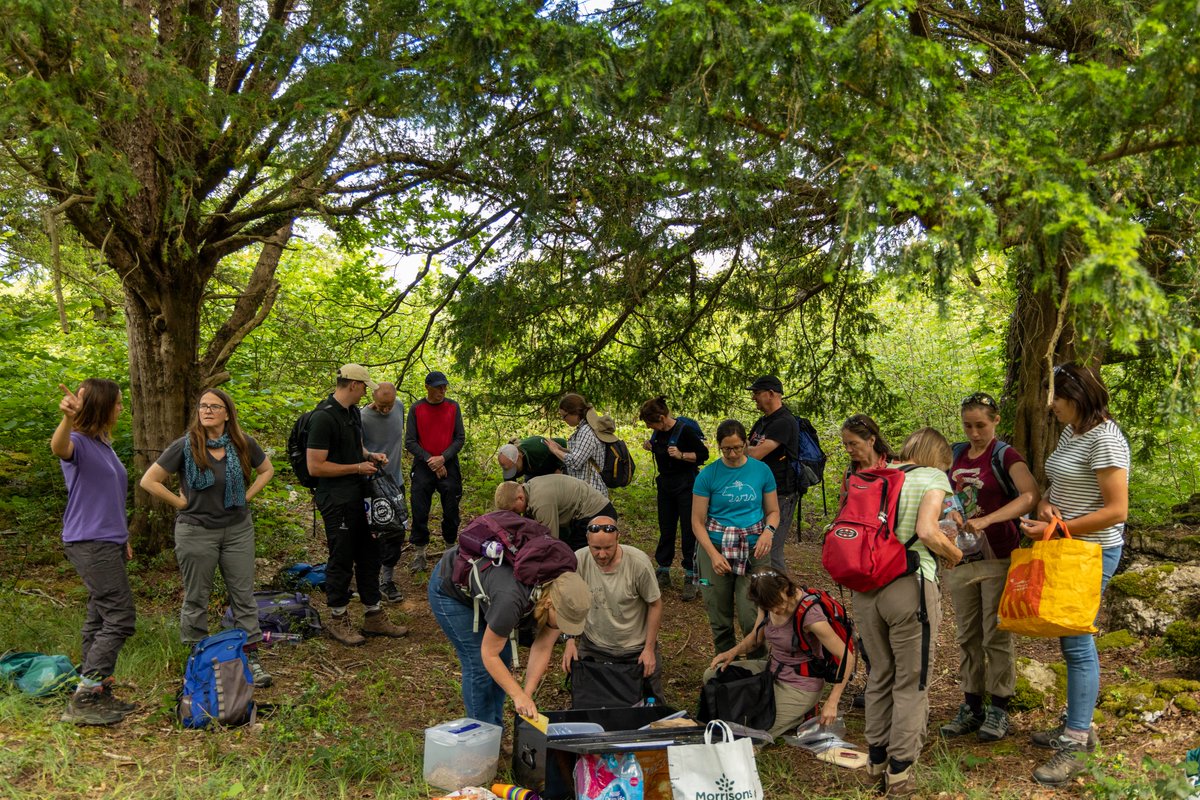 PTES's tweet photo. We want to say a huge thank you to all the wonderful volunteers that dedicate their time to helping us with dormouse releases! None of this would be possible without you! #VolunteersWeek #DormouseRelease
👉 https://t.co/YUWmOFrLyi
📸Peter Howarth https://t.co/qaYRrxZZpT