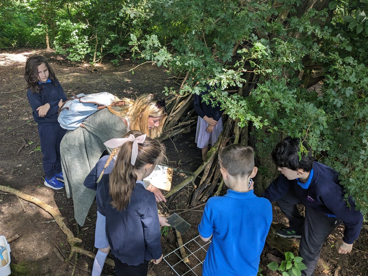 OWPSturtles tweet media