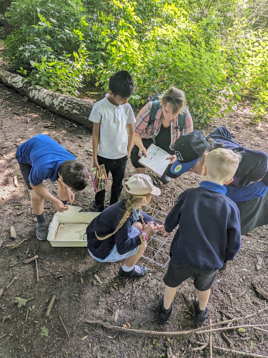 OWPSturtles tweet media