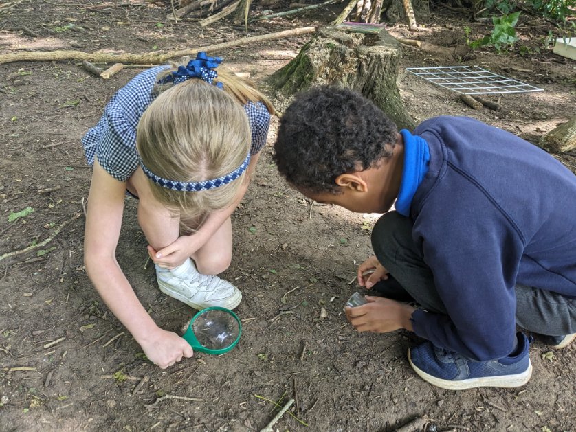 We have been busy searching for different microhabitats!