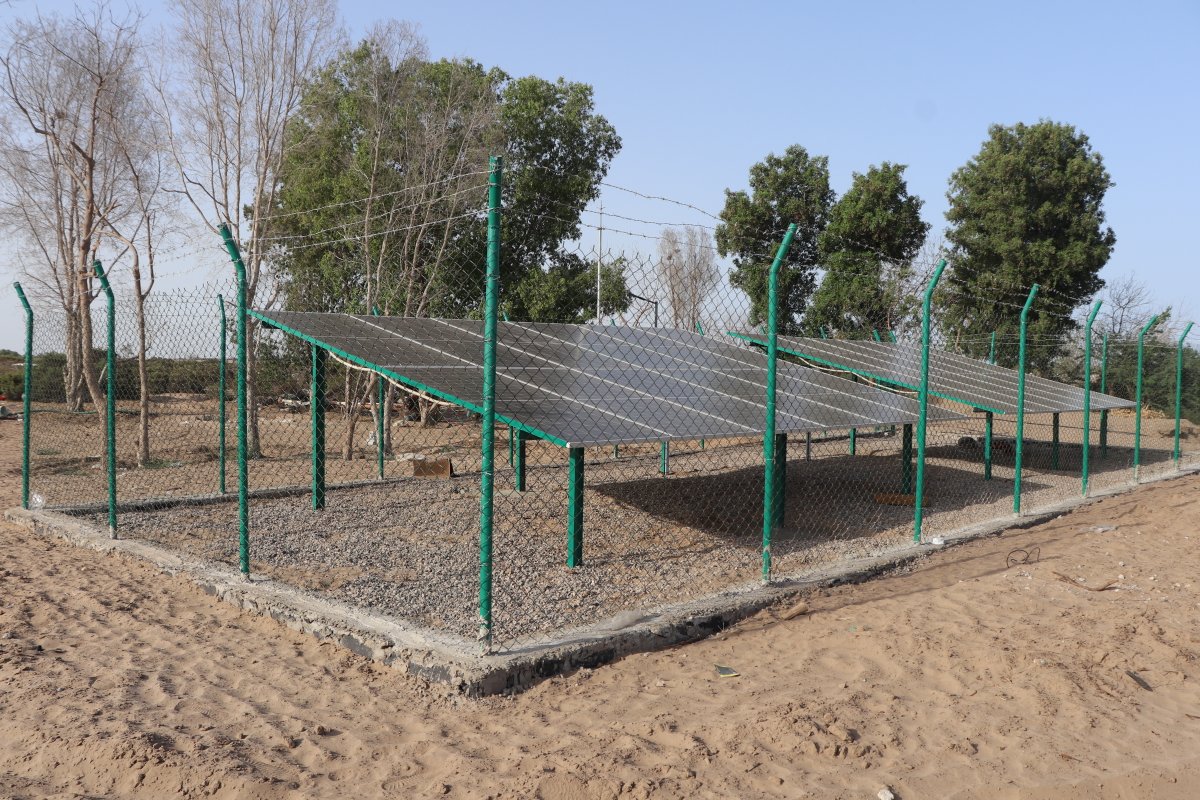 Kieran McConville tweet media