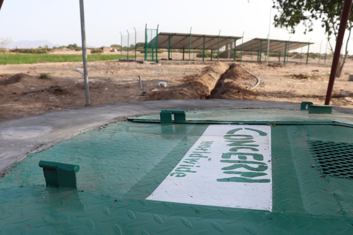 Kieran McConville tweet media