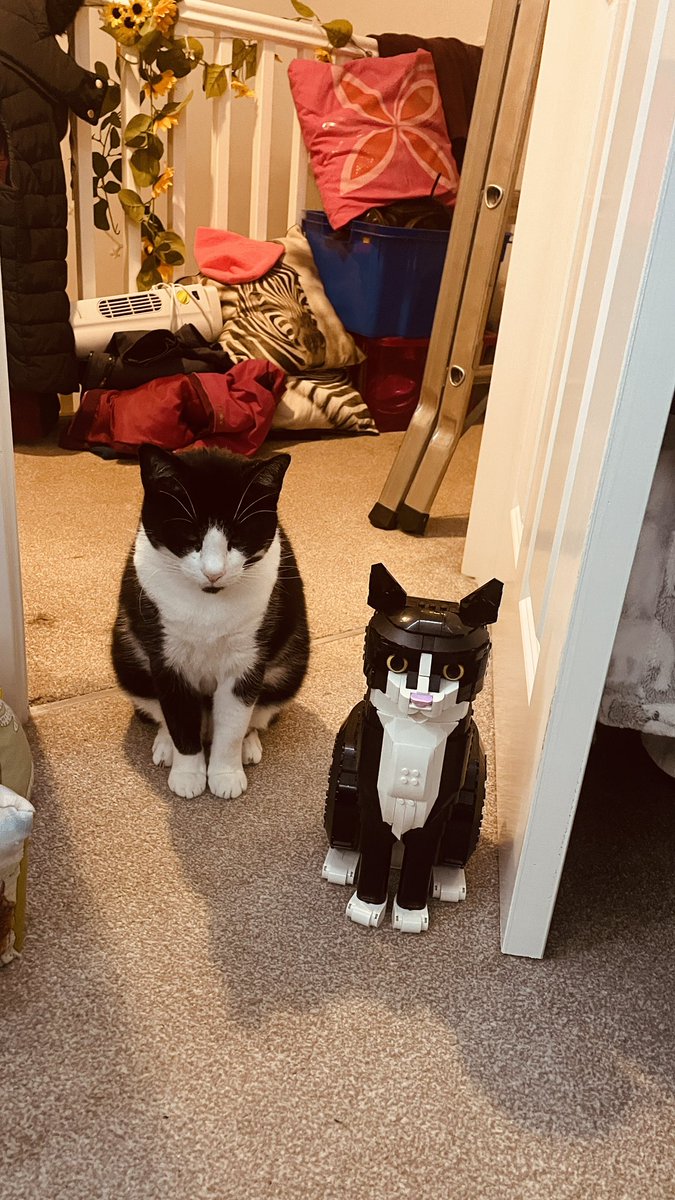 whitewolfmcux's tweet photo. @LEGO_Group My cat lucky with lego lucky 🖤🤍 https://t.co/T0XHK14jAf