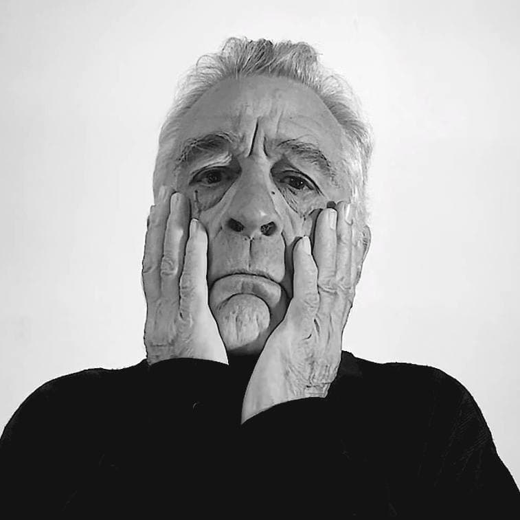 Pranksy (Wooloo Arc) tweet media