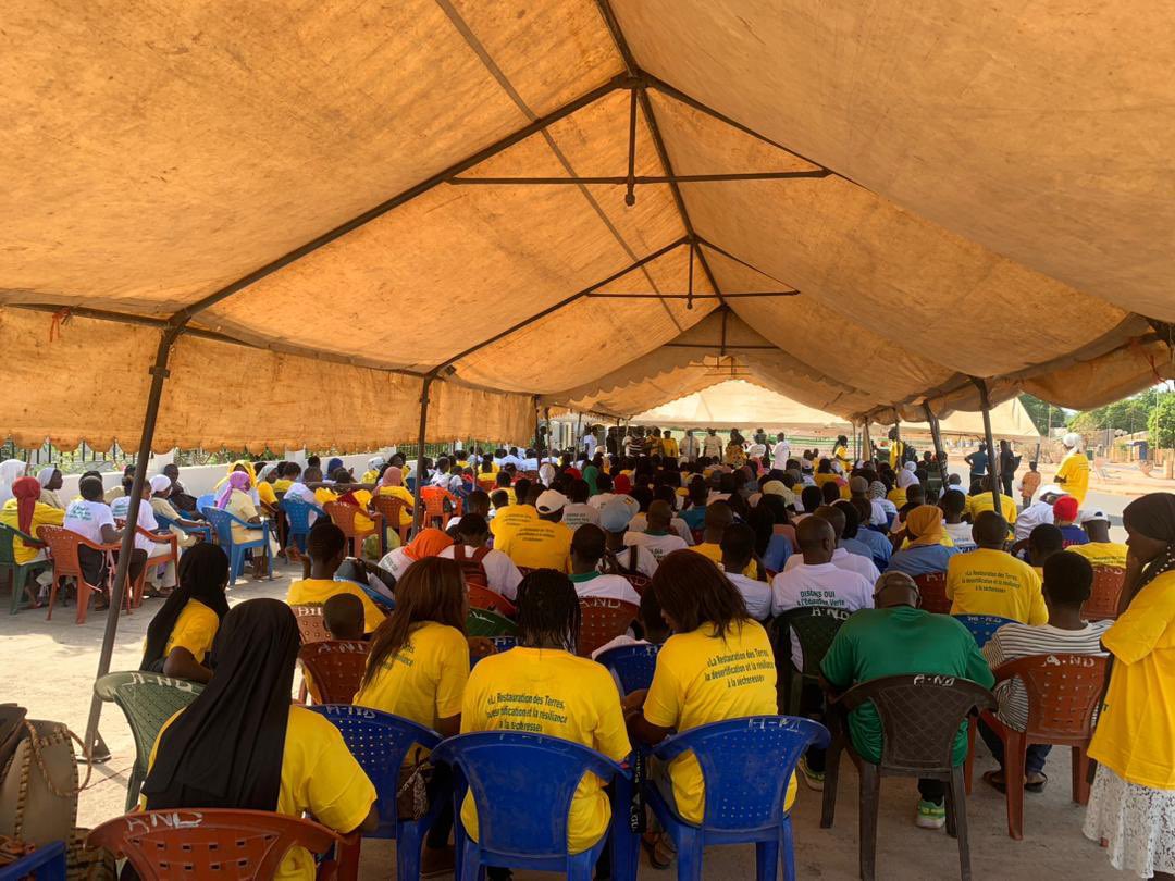 Marame2Sy's tweet photo. #JME2024 #Kolda
Kolda à réussi la mobilisation des couches par la synergie d’action.
Une matinée pour la restauration des écosystèmes.
Randonnee
#Reboisement
#Plaidoyer
#GenerationRestauration
@PR_Diomaye @Denv_Deec @usembassydakar @DrameBabaEnvir @ongfodde @Jve_Senegal https://t.co/RFuFA7lBCe