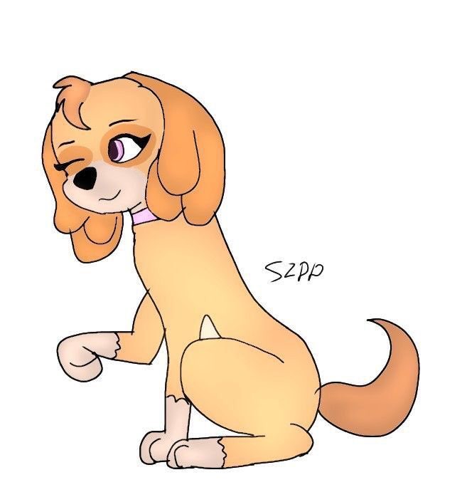 Sky cute