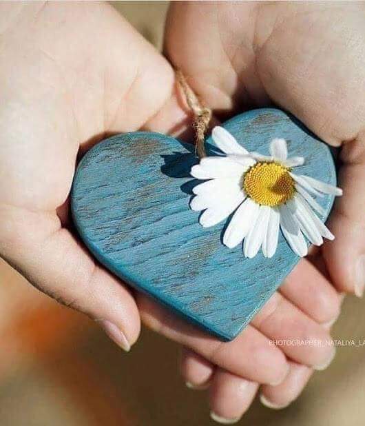 Amal_ab13's tweet photo. إحتضن في قلبك من يستحقون أن يكونوا معك في كل مكان، من يمنحوك الودّ الأنيق والاحترام الدافئ،  من إذا فرحت بسطوا قلوبهم لتقام سعادتك واذا حزنت هبّوا يقاتلون الحزن لأجلك، حضورهم يغنيك عن باقي البشر وأحاديثهم مطر تروي بها روحك، هؤلاء اصنع لهم في قلبك وطناً يليق بهم . https://t.co/rVRj1HfNBd