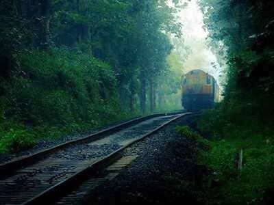 SaveATrain's tweet image. You will never be completely at home again, because part of your heart always will be elsewhere. That is the price you pay for the richness of loving and knowing people in more than one place. #nature #adventure #travel -SAVEATRAIN.COM