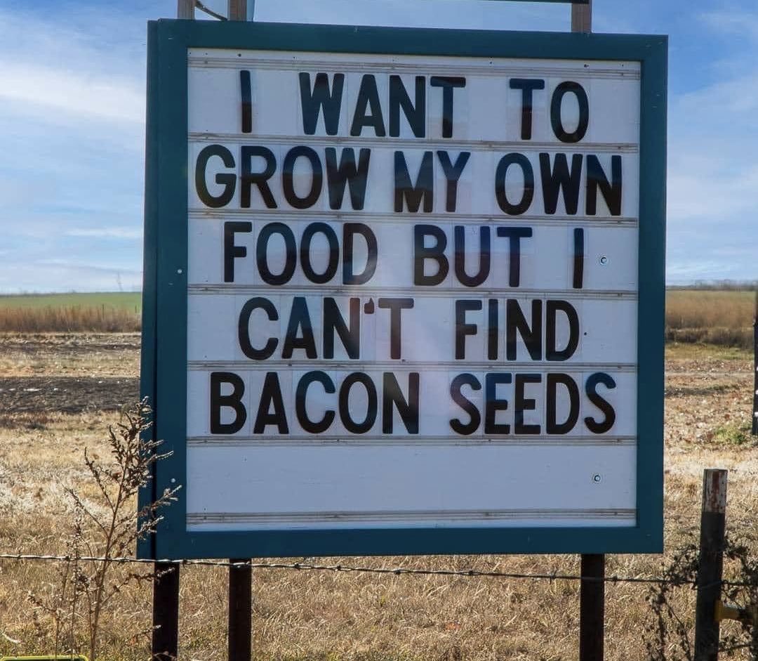 Trying a new venture …but Man….farming is hard! I have looked everywhere 😟
#farmlife
#farming
#foodie
#growyourownfood
#TheMcDougalTeam
#DoogsMind