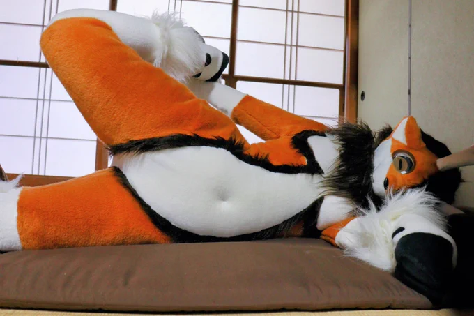 #フォルダの中で破壊力100の写真を貼る #FursuitFriday