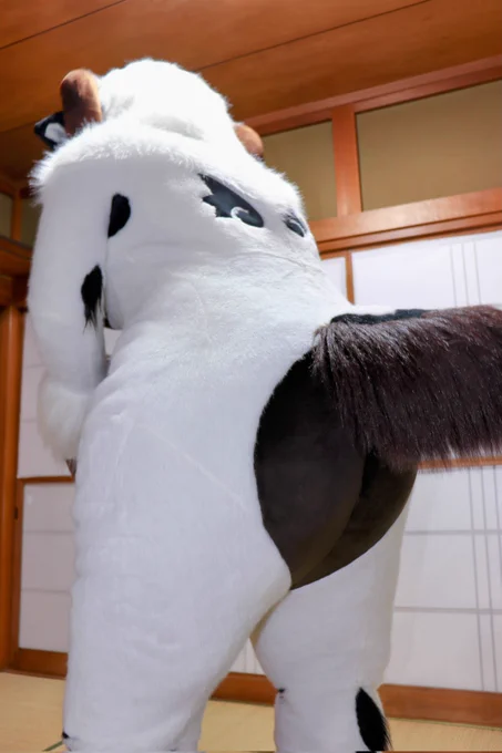 #フォルダの中で破壊力100の写真を貼る #FursuitFriday