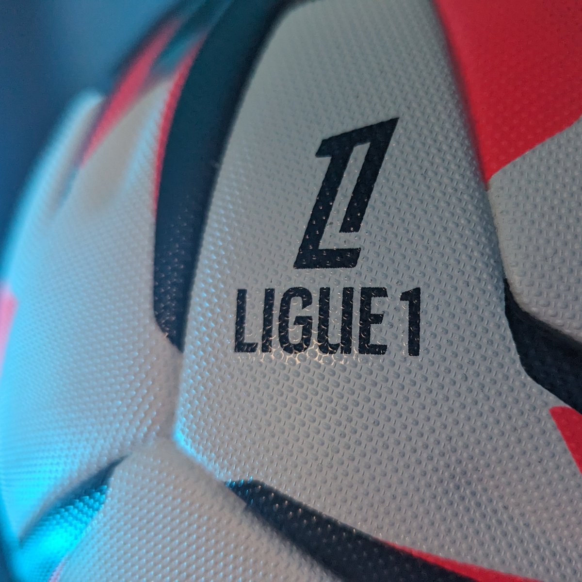 𝙏𝙈𝙁 tweet media