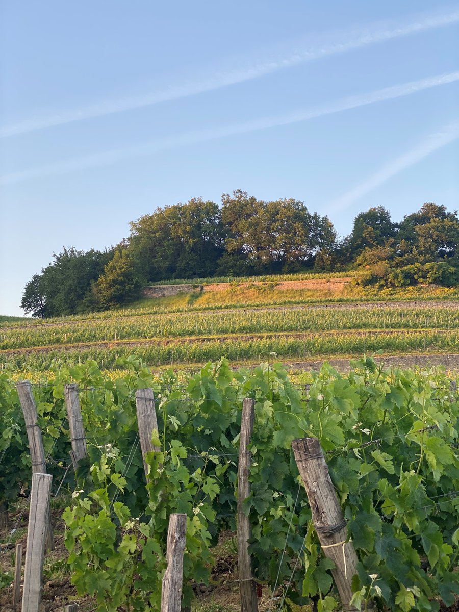 larcisducasse's tweet photo. Récital de la pianiste Dana Ciocarlie, dans le cadre des Grandes Heures de St-Emilion. Un beau moment de partage et d'émotions. https://t.co/1LWkDixRS9