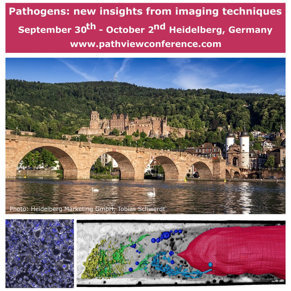 🚀 Join us for the "Pathogens: New Insights from Imaging Techniques" conference! 
📅 Sept 30 – Oct 2, 2024
📍 Heidelberg, Germany
🔬 Connect with experts in microscopy, life sciences, and biopharma
👉 Register pathviewconference.com
#PathViewConference #Microscopy #LifeSciences