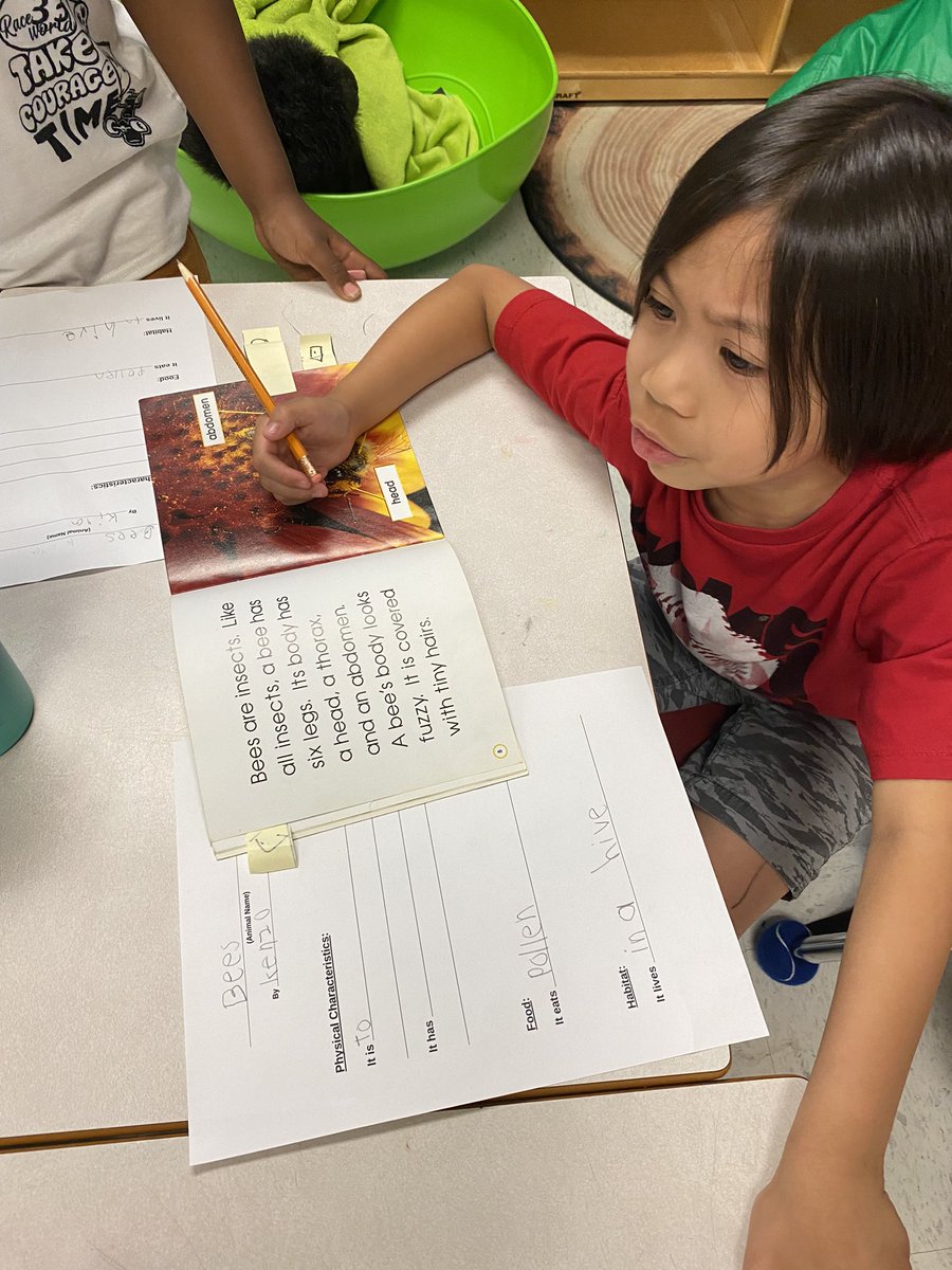 StLukeEllacott's tweet photo. The animal research projects have begun! Can’t wait to see their final products!! 🦈🐝🐨🐊@MsDionello @StLukeNepean https://t.co/UwwBOdGhDB