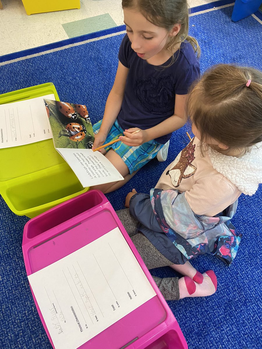 StLukeEllacott's tweet photo. The animal research projects have begun! Can’t wait to see their final products!! 🦈🐝🐨🐊@MsDionello @StLukeNepean https://t.co/UwwBOdGhDB