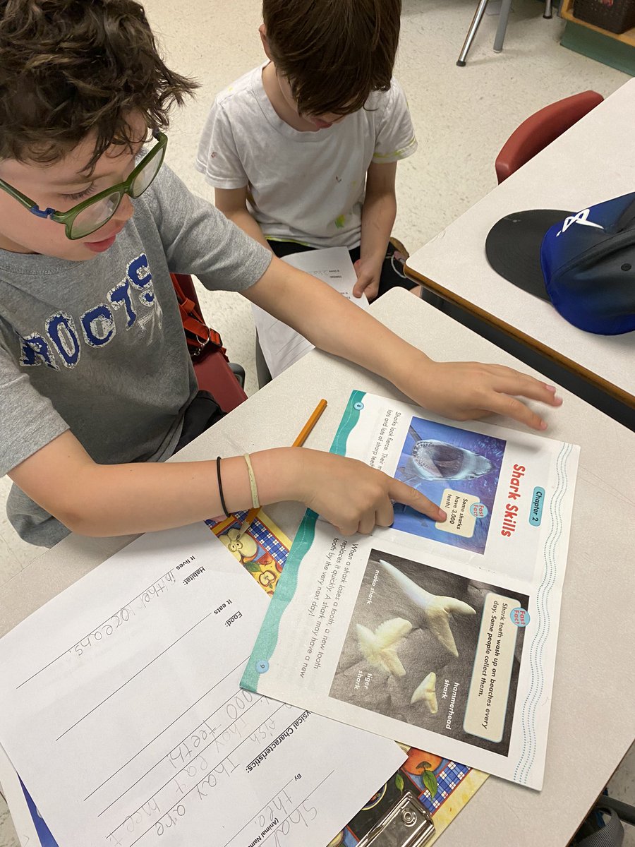 StLukeEllacott's tweet photo. The animal research projects have begun! Can’t wait to see their final products!! 🦈🐝🐨🐊@MsDionello @StLukeNepean https://t.co/UwwBOdGhDB