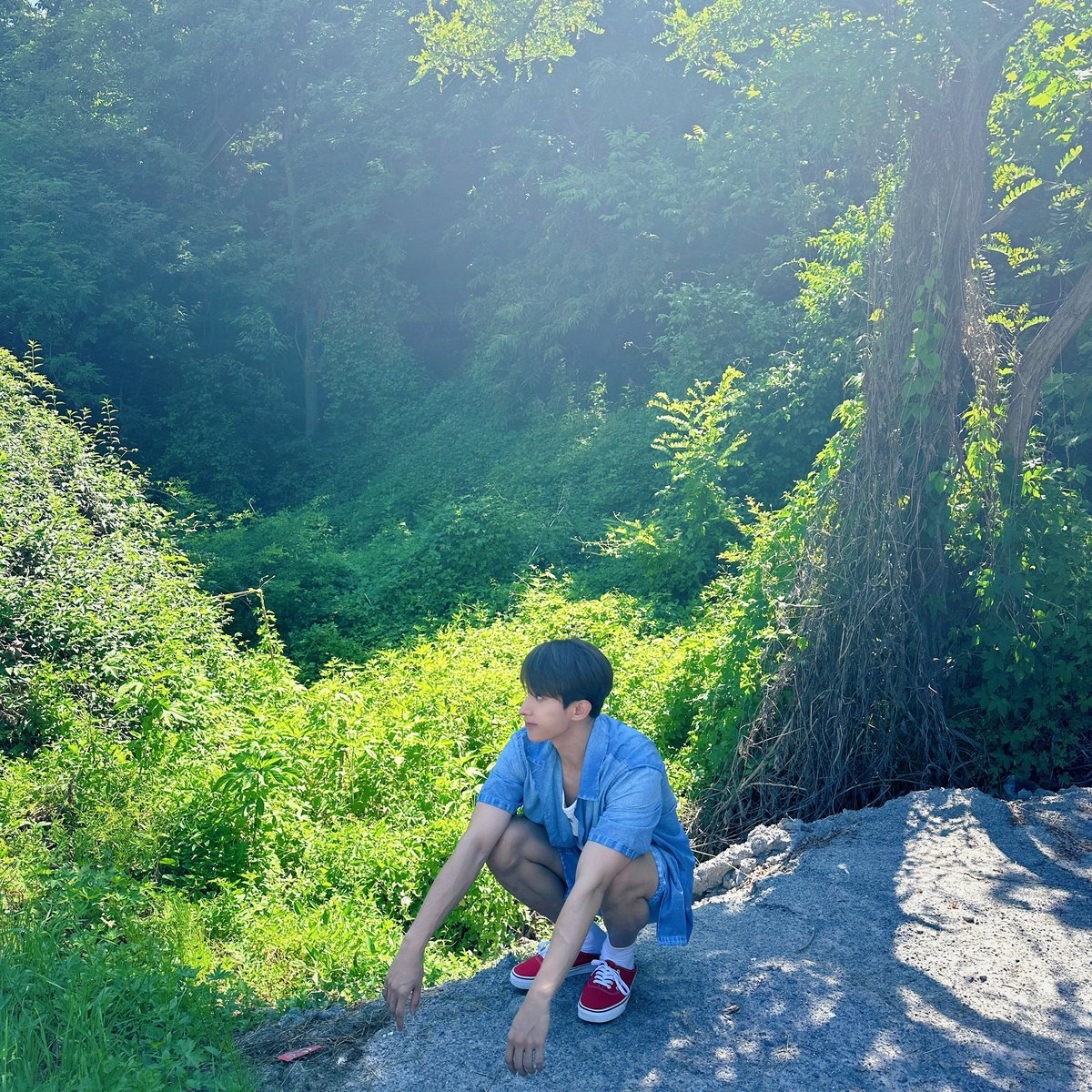 svt_verse's tweet photo. (2/2)

@pledis_17 #SEVENTEEN #세븐틴 #도겸 #DK https://t.co/6bDxcewIFm