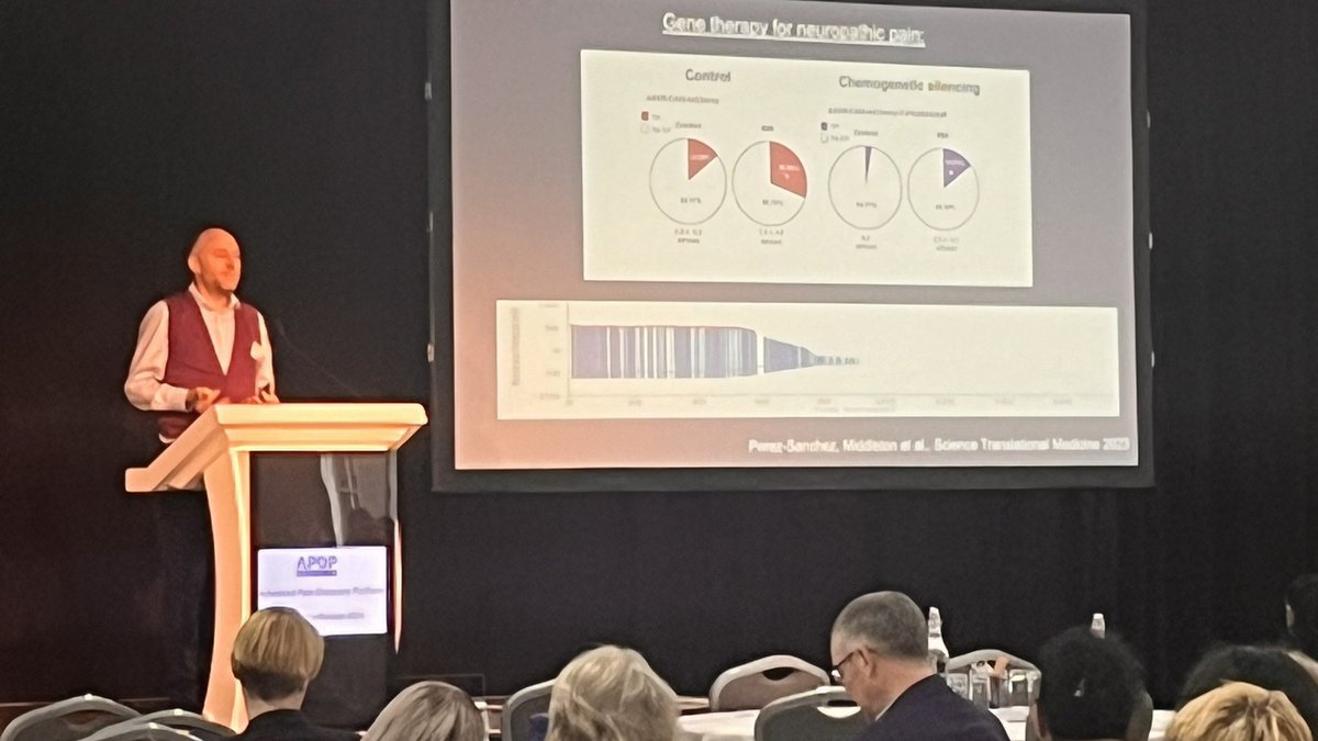 ChitraJoseph2's tweet photo. Interesting talk from Prof Bennet ; “Gene  Therapy approach to  neuropathic pain”@MsApdp https://t.co/b1zBqajsJP