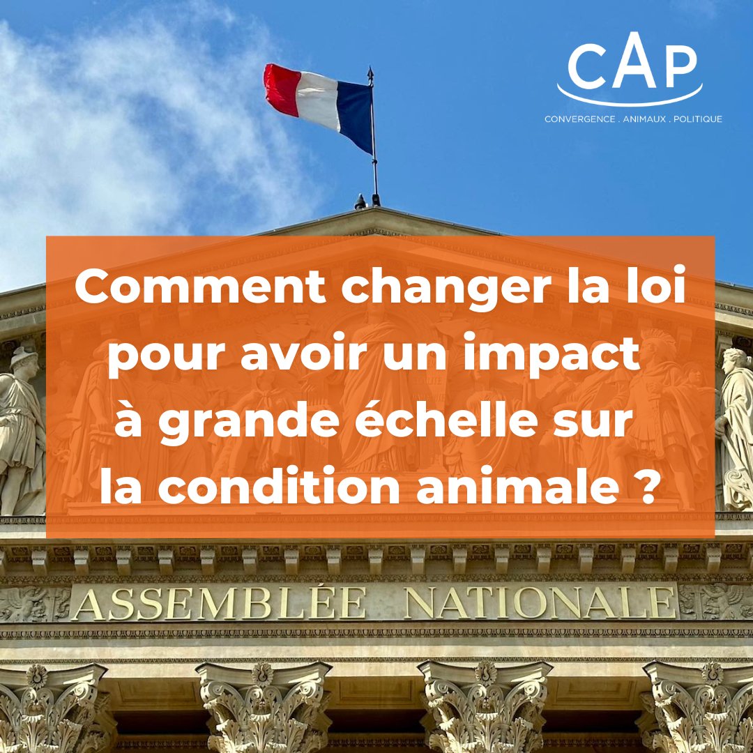 Convergence Animaux Politique tweet media