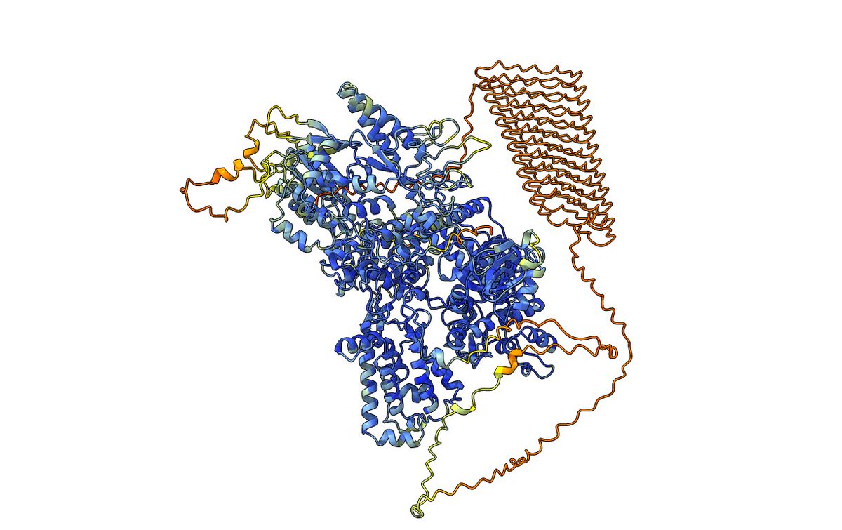 Dear RNA Pol II, what have you done to your CTD ???? 🤣
