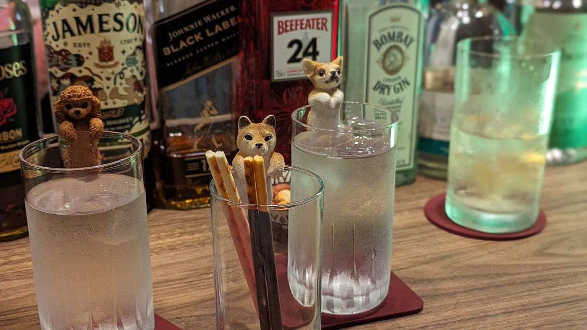 kateiky's tweet photo. 犬と飲む
#jacksonbar #与野 https://t.co/VDZjpD89RD