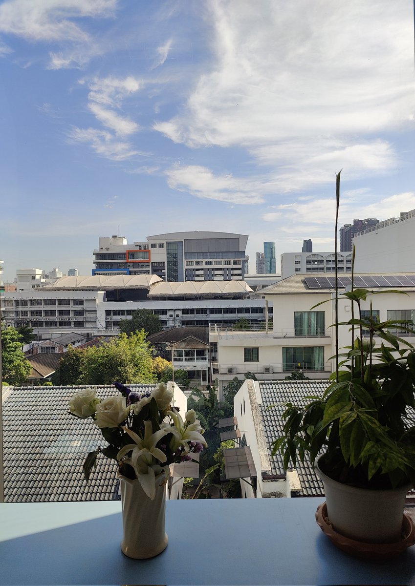 Fang Wang tweet media