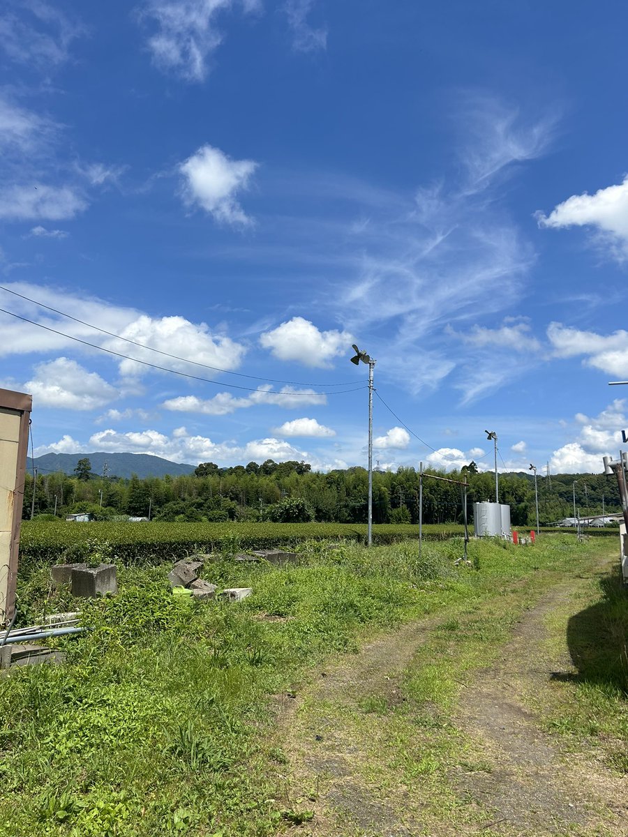 miki___n's tweet photo. 春夏秋冬の四半期だけじゃない季節の移り変わりがあって毎日あっという間に過ぎていく

まだまだ知らないことばかり🌾

何回二日酔いになるんだよってくらい
飲み会の飲み方成長できないのが最近の悩み🥹

#さつま町
#地域おこし協力隊 https://t.co/iCdakQyP72