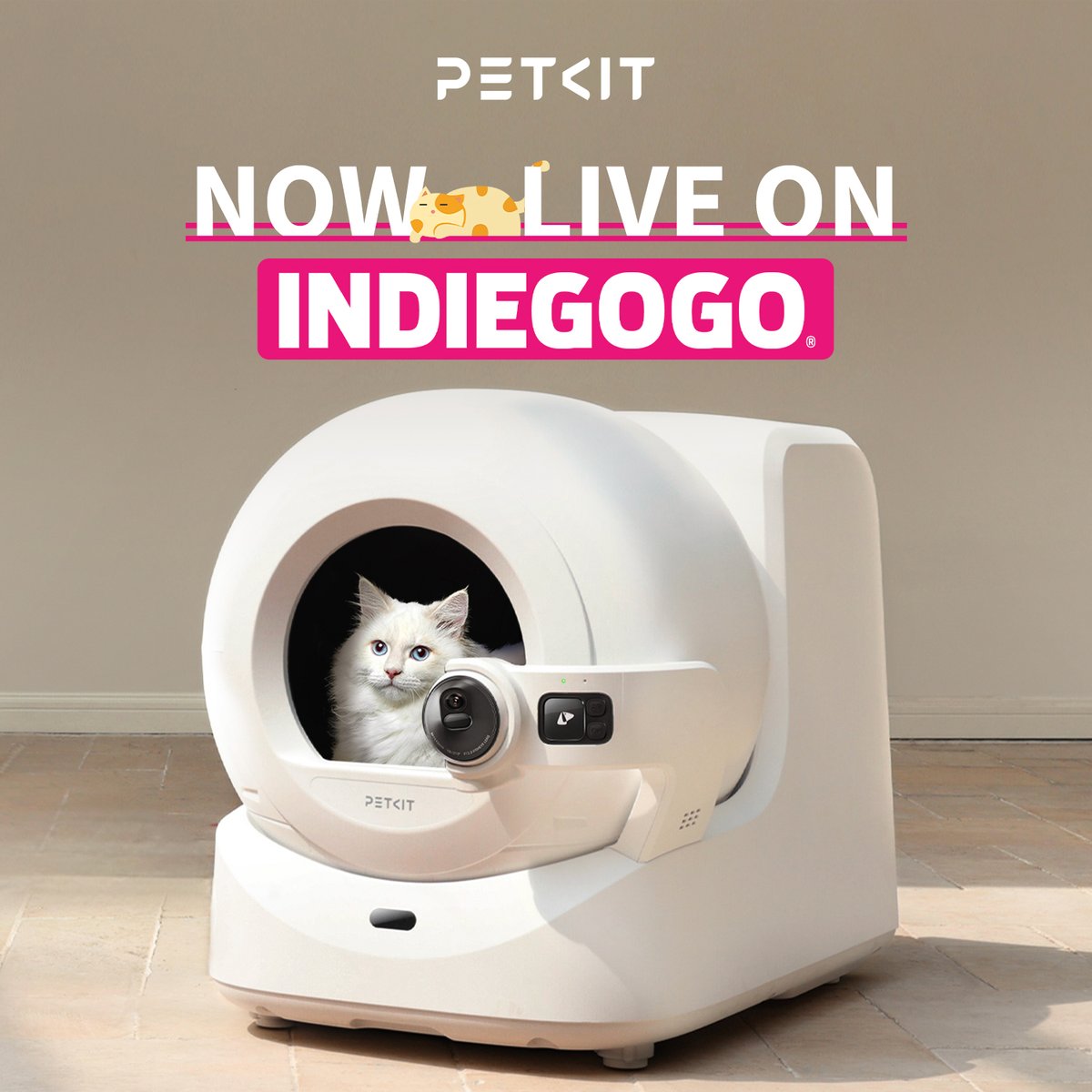 petkitaccount's tweet photo. 🚀 PUROBOT ULTRA IS NOW LIVE! 🚀

The AI-powered cat litter box with a camera is officially live on Indiegogo! 🐱📸

Check out the full page and get all the details here 👉https://t.co/Kzx0JNEAuM

#PETKIT #cat #tech #innovation #ai #litterbox #petcare #automatic #musthave https://t.co/TJdJ7lUB5i