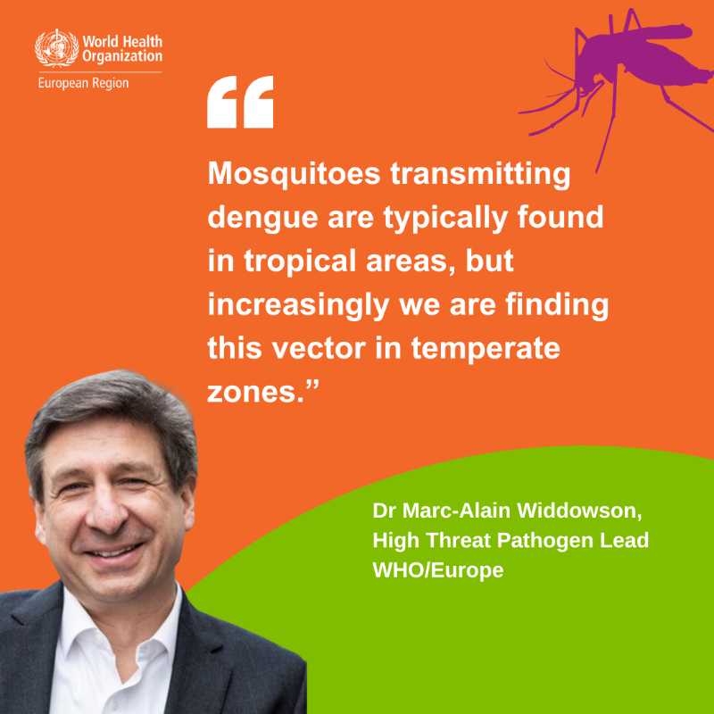 WHO_Europe's tweet photo. Could dengue become endemic in Europe? 

Climate change is making 30 countries more suitable for both the mosquito vector and the virus. 

Read our article to learn more about #dengue: https://t.co/9CAx7067bP 🔗  

#WorldEnvironmentDay 

#ClimateChange