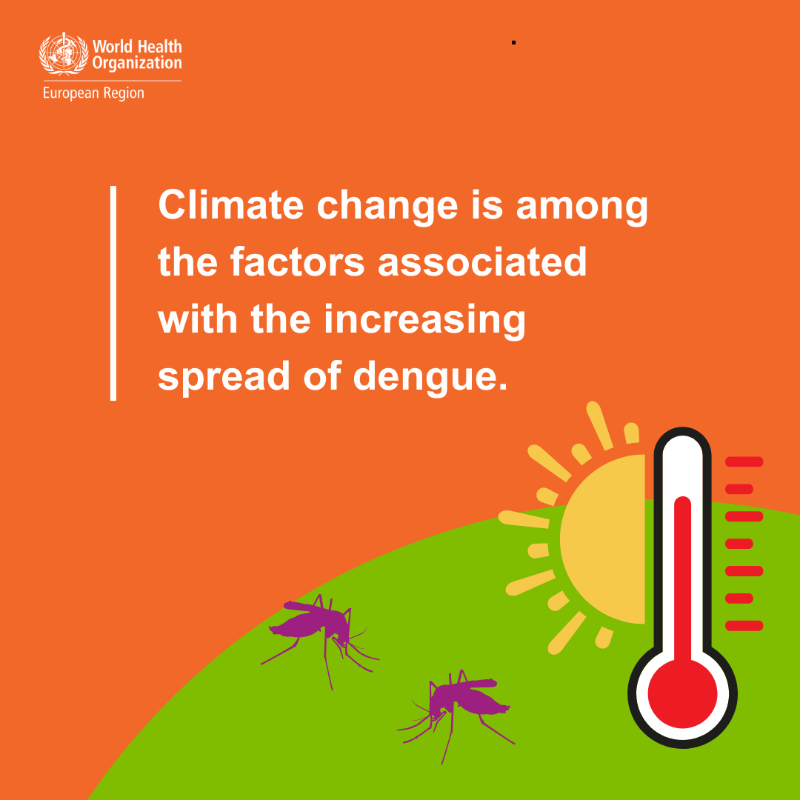 WHO_Europe's tweet photo. Could dengue become endemic in Europe? 

Climate change is making 30 countries more suitable for both the mosquito vector and the virus. 

Read our article to learn more about #dengue: https://t.co/9CAx7067bP 🔗  

#WorldEnvironmentDay 

#ClimateChange