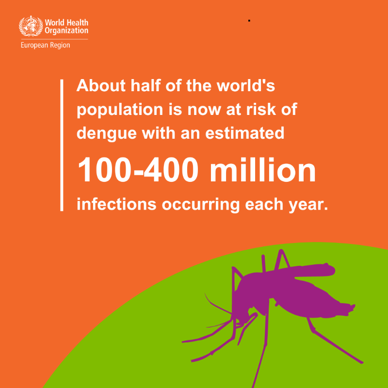 WHO_Europe's tweet photo. Could dengue become endemic in Europe? 

Climate change is making 30 countries more suitable for both the mosquito vector and the virus. 

Read our article to learn more about #dengue: https://t.co/9CAx7067bP 🔗  

#WorldEnvironmentDay 

#ClimateChange