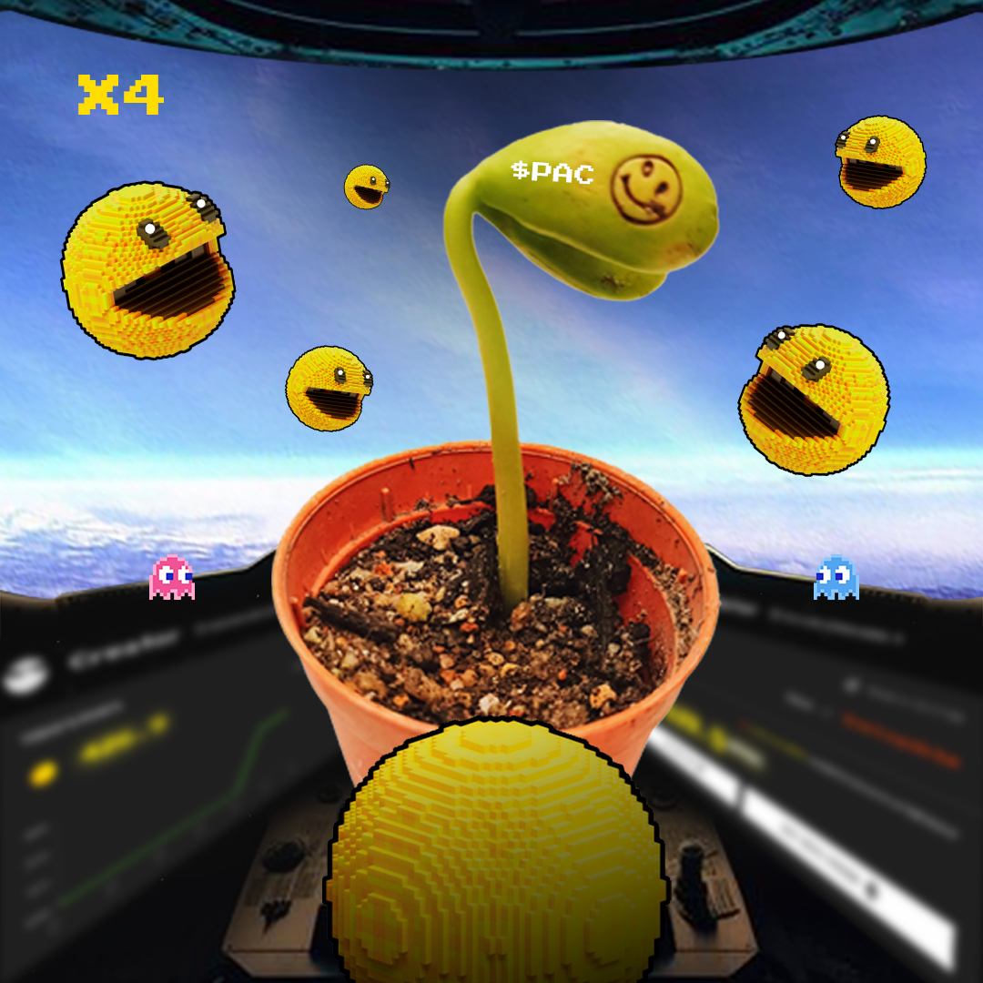 LivePolygons's tweet image. Hi everyone~ Travel to the SPACE and let's bring $PAC to the moon~ meet more #PacFam