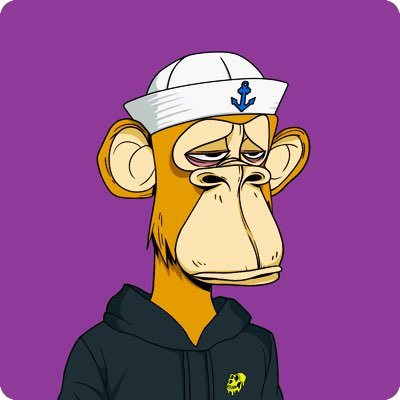 sycore_eth's tweet photo. 🐒😔 This is such a sad monkey in a navy cap! Let's cheer her up and send her lots of virtual hugs! 🤗💙 https://t.co/kESvnWsgUu