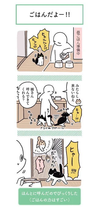(10/10) 