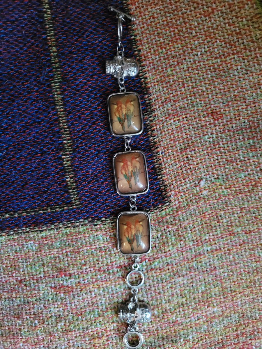 ItsUhhhhMe's tweet photo. @timmyisanerd Here's my chance to show off my Sex Pot bird bracelet. Can't find a bird with that name, so I really don't get it lol https://t.co/U9n8cnDF3t
