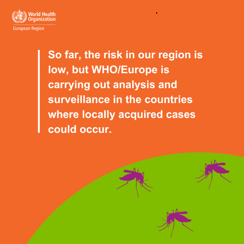 WHO_Europe's tweet photo. Could dengue become endemic in Europe? 

Climate change is making 30 countries more suitable for both the mosquito vector and the virus. 

Read our article to learn more about #dengue: https://t.co/9CAx7067bP 🔗  

#WorldEnvironmentDay 

#ClimateChange
