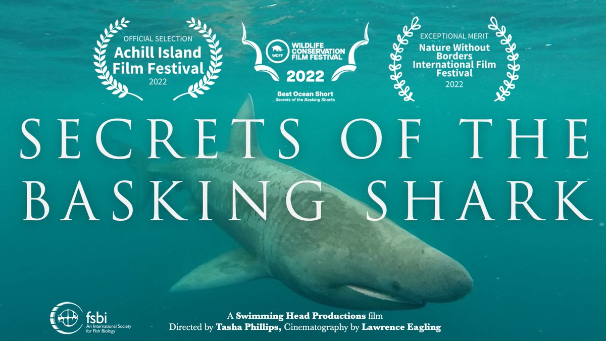 Swimming Head Productions (@swimming_head) on Twitter photo Excited to share 'Secrets Of The Basking Shark' will be streaming on <a href="/ecoflixofficial/">Ecoflix</a> from #WorldOceansDay!📽️🍿🥳Thanks to <a href="/BaskingIrish/">Irish Basking Shark</a> <a href="/TheFSBI/">fsbi</a> @CwallWildlife <a href="/theberrows/">Berrow/Bermingham/Nic Fheorais</a> <a href="/DonalGriffin9/">Donal Griffin</a> <a href="/GrahamI0M/">Graham Hall</a> <a href="/JackieH94280067/">Jackie Hall</a> <a href="/haleydolton/">Dr Haley Dolton (she/her)</a> <a href="/DrMJWitt/">DrMJWitt</a> <a href="/DrLucyHawkes/">Dr Lucy A Hawkes</a> <a href="/SharkTrustUK/">The Shark Trust</a> @Catshark1 Excited to share 'Secrets Of The Basking Shark' will be streaming on <a href="/ecoflixofficial/">Ecoflix</a> from #WorldOceansDay!📽️🍿🥳Thanks to <a href="/BaskingIrish/">Irish Basking Shark</a> <a href="/TheFSBI/">fsbi</a> @CwallWildlife <a href="/theberrows/">Berrow/Bermingham/Nic Fheorais</a> <a href="/DonalGriffin9/">Donal Griffin</a> <a href="/GrahamI0M/">Graham Hall</a> <a href="/JackieH94280067/">Jackie Hall</a> <a href="/haleydolton/">Dr Haley Dolton (she/her)</a> <a href="/DrMJWitt/">DrMJWitt</a> <a href="/DrLucyHawkes/">Dr Lucy A Hawkes</a> <a href="/SharkTrustUK/">The Shark Trust</a> @Catshark1