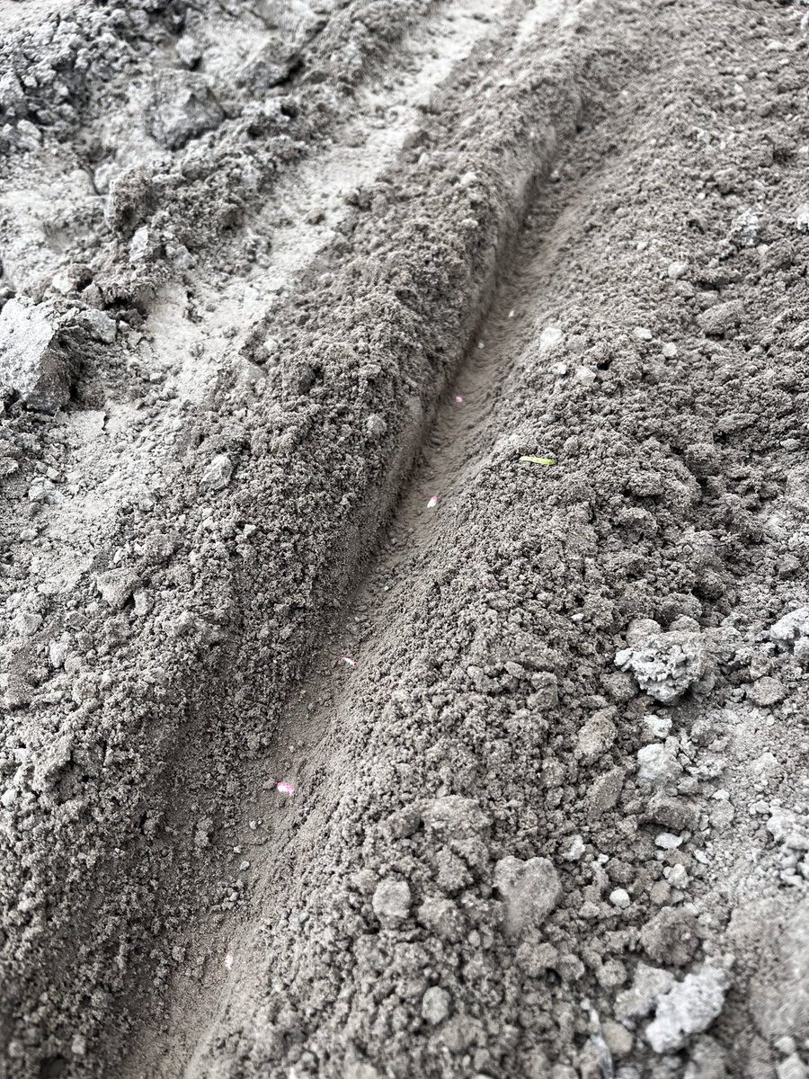 Siebren Mollema tweet media