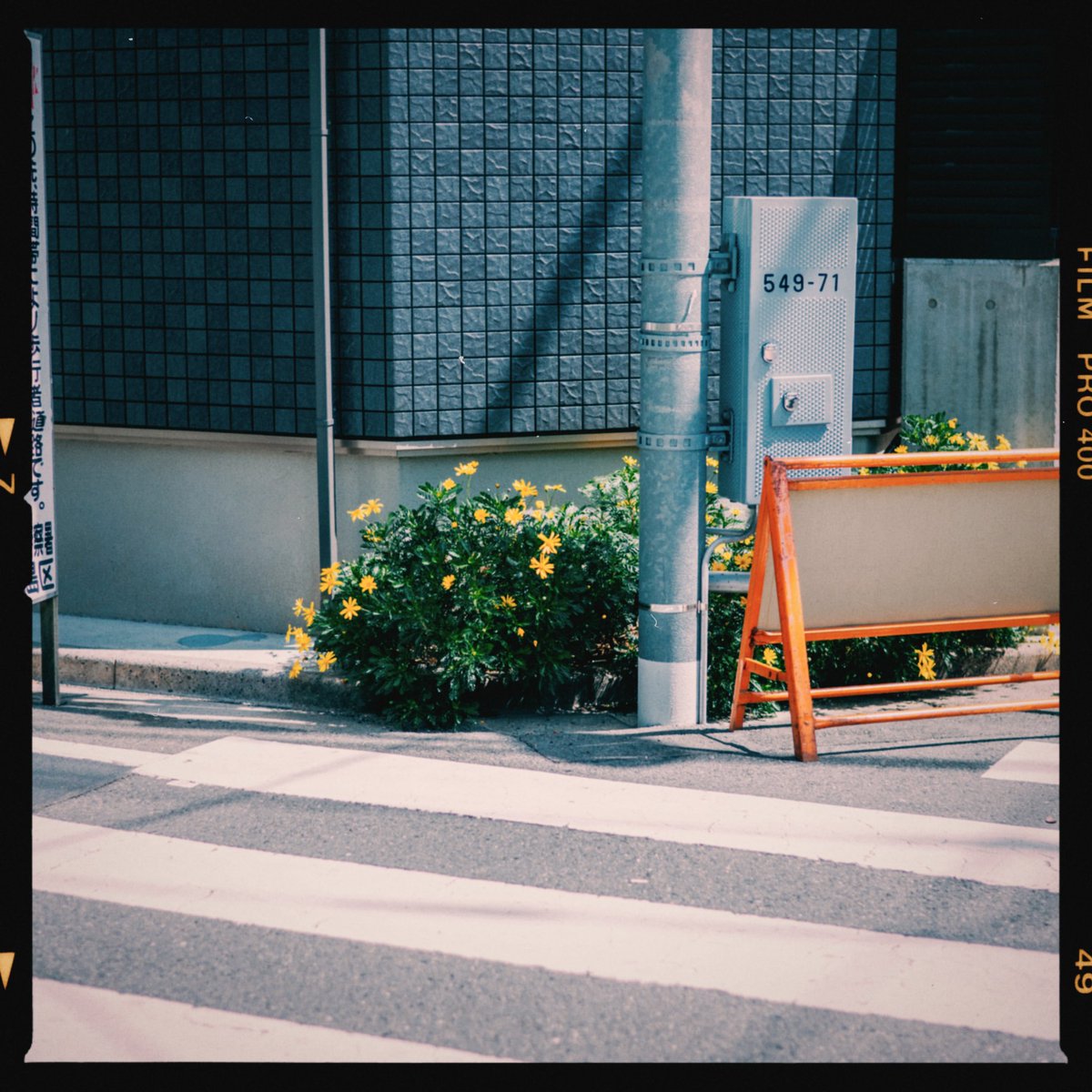 yu29_18's tweet photo. photos https://t.co/QSjCPnn7W8