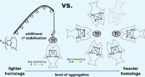 bhkenlo's tweet photo. Potential of Mixed Dipnictogen Molybdenum Complexes in the Self-Assembly of Thallium Coordination Compounds | Inorganic Chemistry https://t.co/Ib7EKbrgVC Scheer and co-workers @InorgChem #molybdenum #dipnictogen #tetrahedrane #SA #thallium https://t.co/qVtC2nYsN8