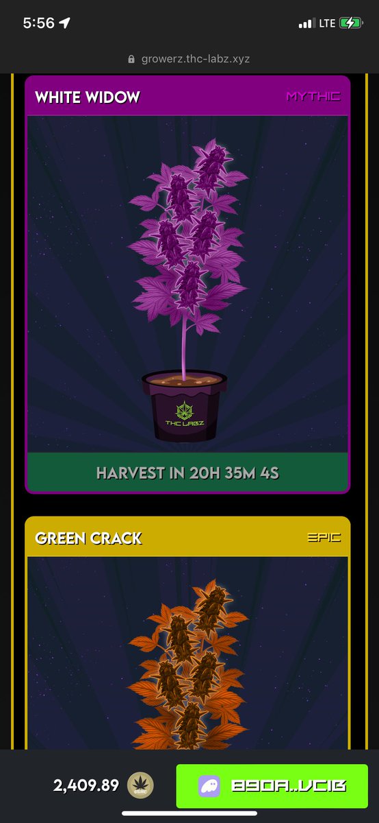 Almost ready for a nice harvest <a href="/THC_Labz/">THC ᴸᵃᵇᶻ</a>, should be level 4 in no time!