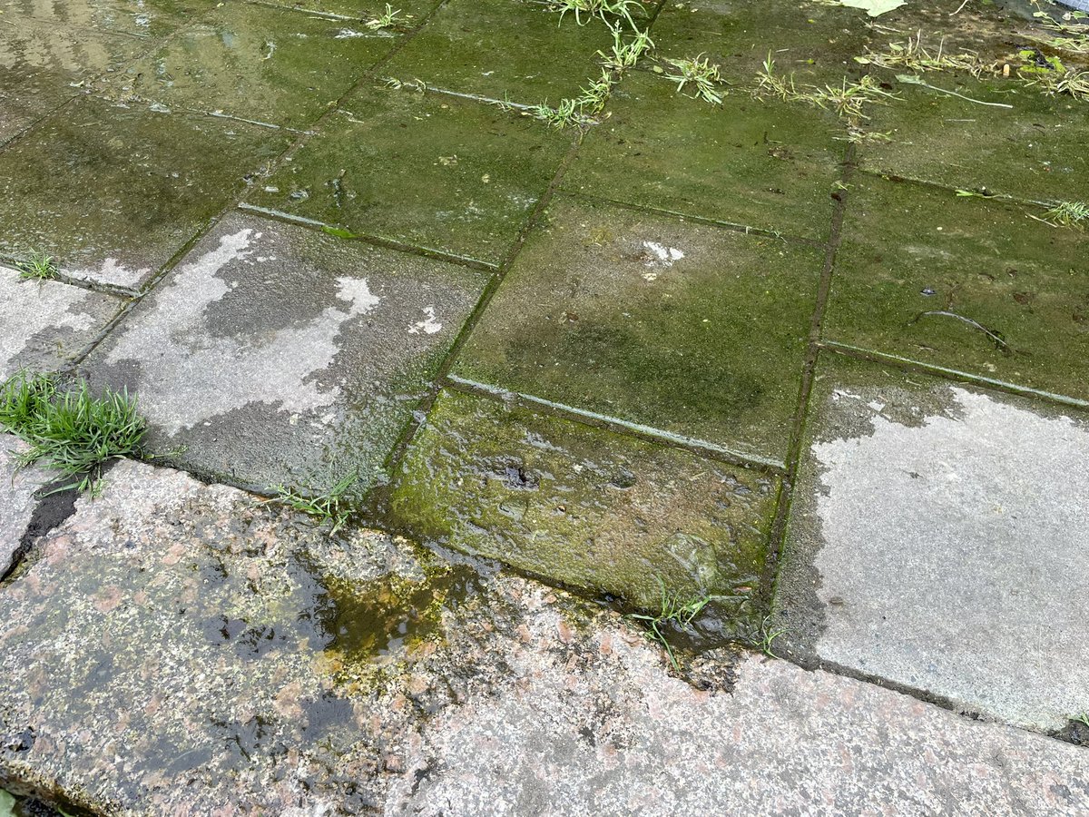 Esther Rees tweet media