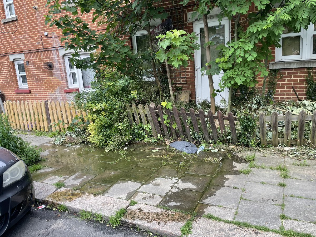 Esther Rees tweet media