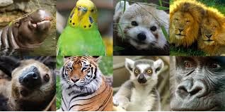 Hull Ma PTO tweet media